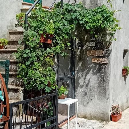 Nicolas House Campiglia d'Orcia Екстер'єр фото