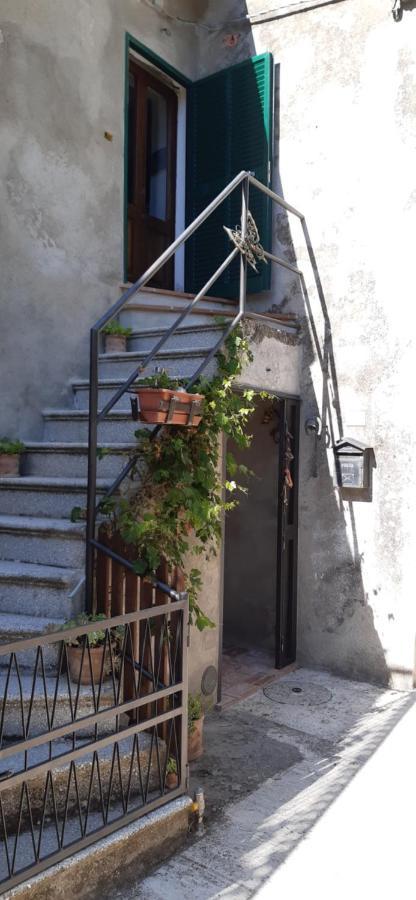 Nicolas House Campiglia d'Orcia Екстер'єр фото