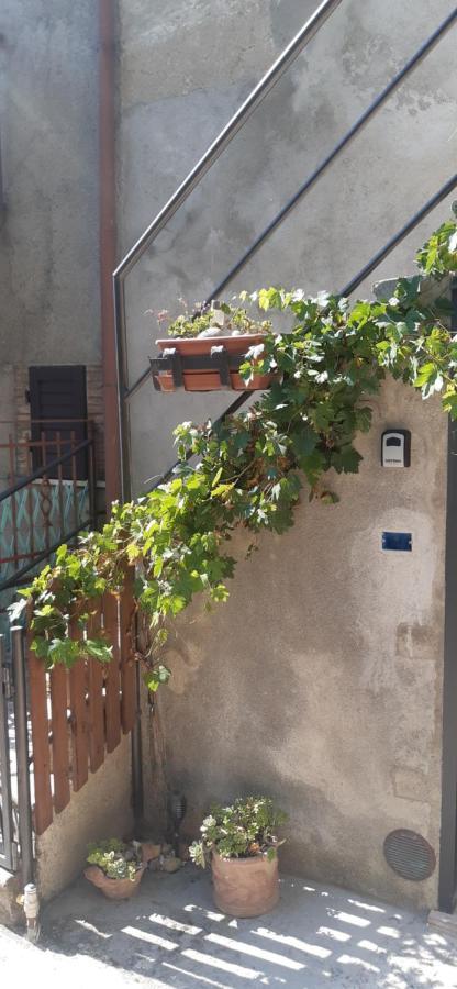 Nicolas House Campiglia d'Orcia Екстер'єр фото