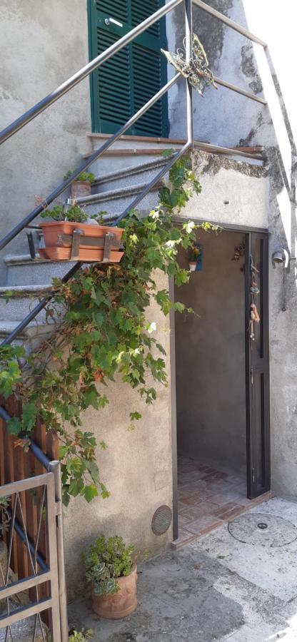 Nicolas House Campiglia d'Orcia Екстер'єр фото